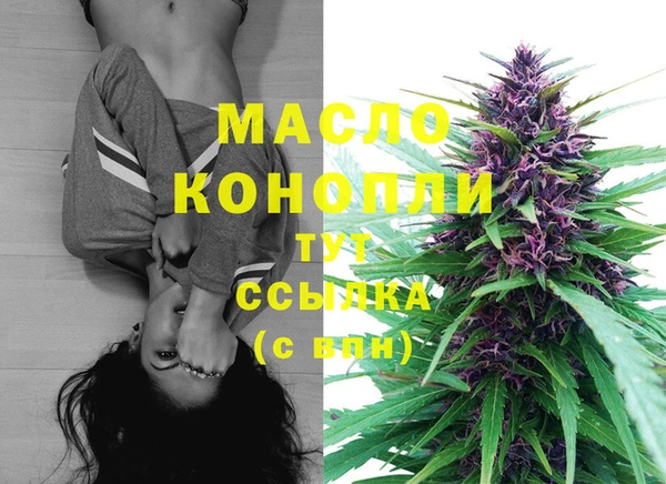 ешки Дмитриев