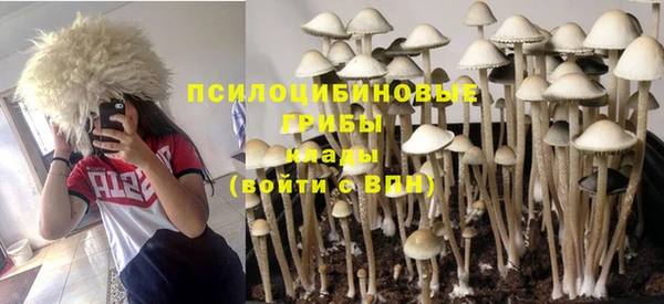 амфетамин Гусиноозёрск
