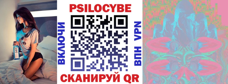 Псилоцибиновые грибы Psilocybe  Зея 